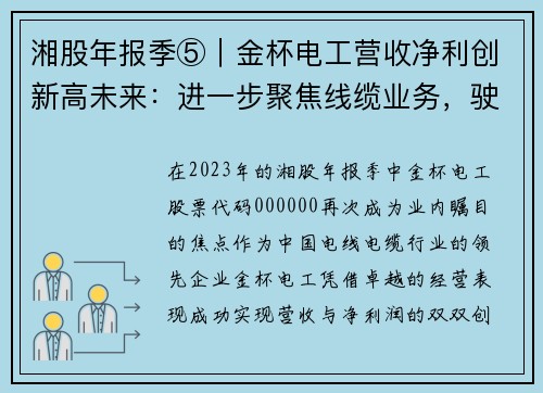 湘股年报季⑤｜金杯电工营收净利创新高未来：进一步聚焦线缆业务，驶向行业巅峰